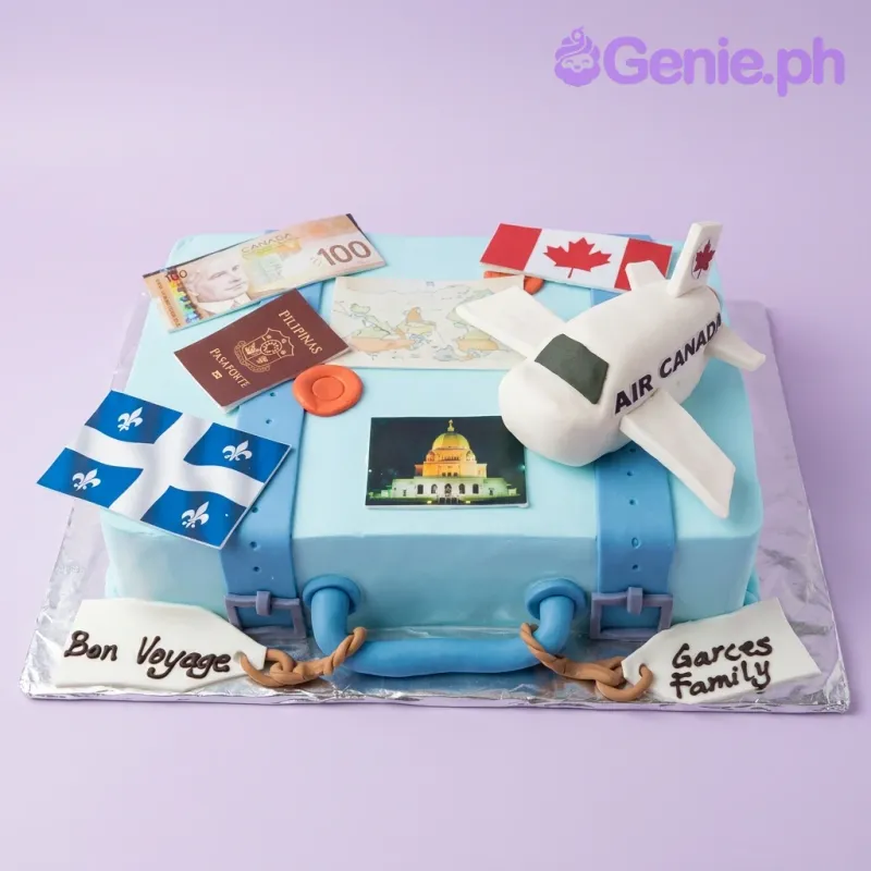Travel Suitcase Cake