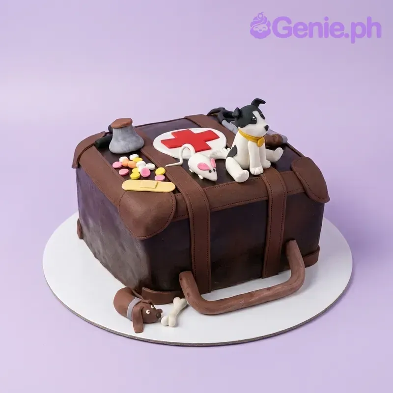 Veterinary Suitcase Cake