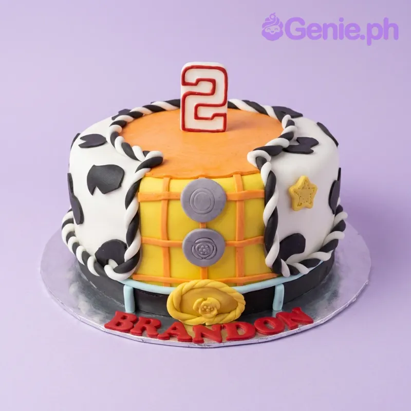 Woody Toy Story Shirt Cake Design