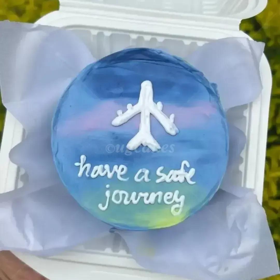 Blue bento cake with a painted sky design, a white icing airplane, and the message 'have a safe journey'.