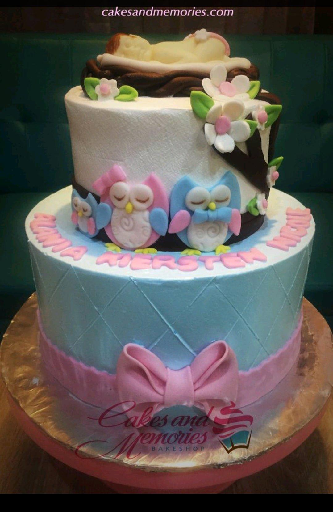 Two-tier baby shower cake with a sleeping baby in a nest topper, fondant owls, and pink floral accents on white and light blue tiers.