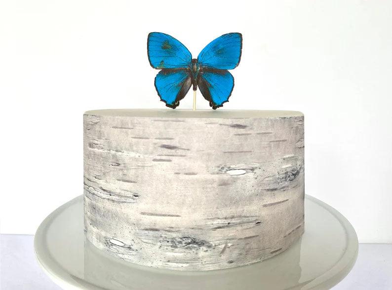 A minimalist single-tier cake with a birch wood texture icing design and a large blue butterfly topper.