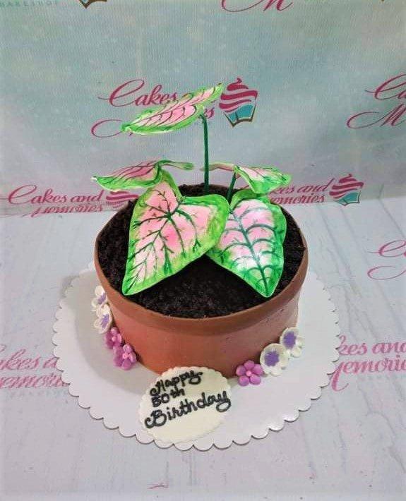 A realistic potted plant cake designed to look like a Caladium with pink and green leaves in a brown pot with small purple flowers.