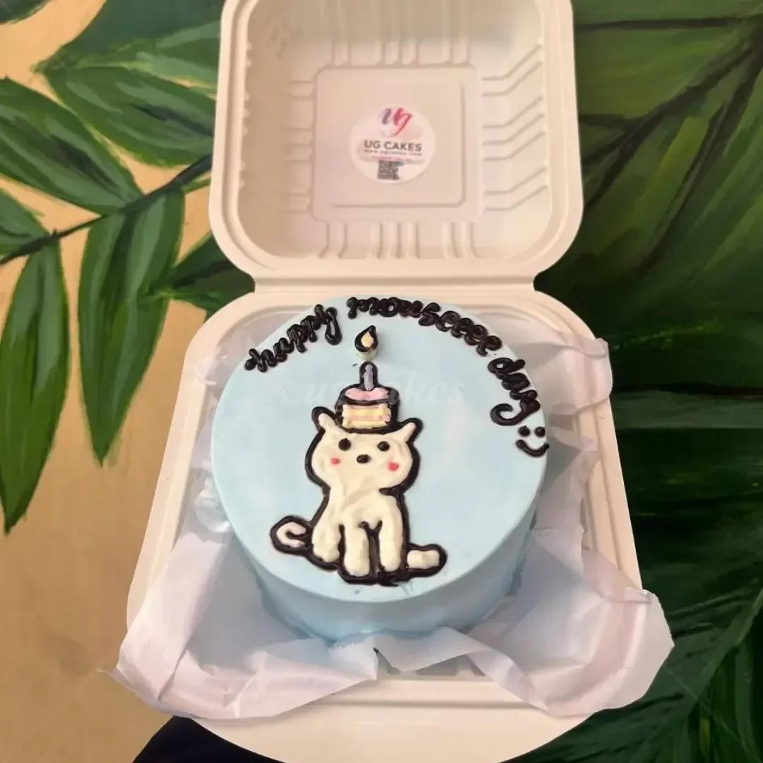 Light blue bento cake with a hand-piped white cat wearing a small birthday cake on its head and a black icing message.