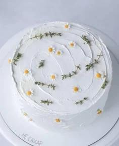 Minimalist white 1-tier cake decorated with delicate white daisies and fresh green herb sprigs with a textured palette knife icing finish.