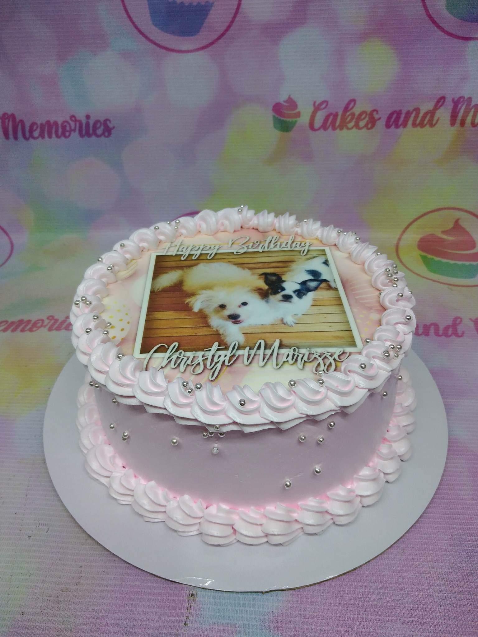Light pink round cake with a photo print of two dogs, silver dragees, and pink icing rosettes.