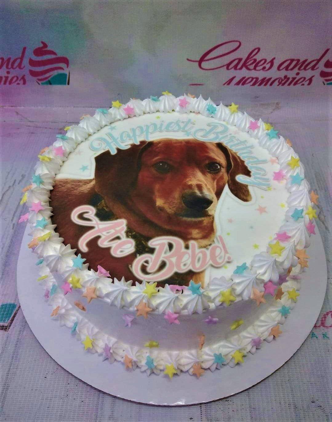 White round birthday cake featuring a large edible photo print of a brown dog with colorful icing rosettes and star decorations.