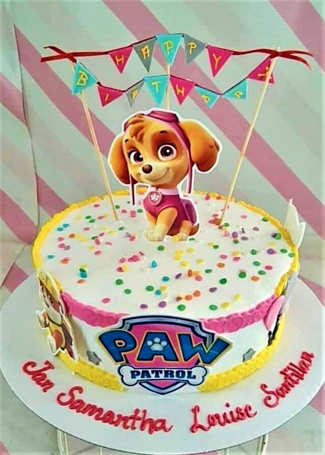 Paw Patrol Skye themed birthday cake with white icing, colorful sprinkles, and a pink character topper.