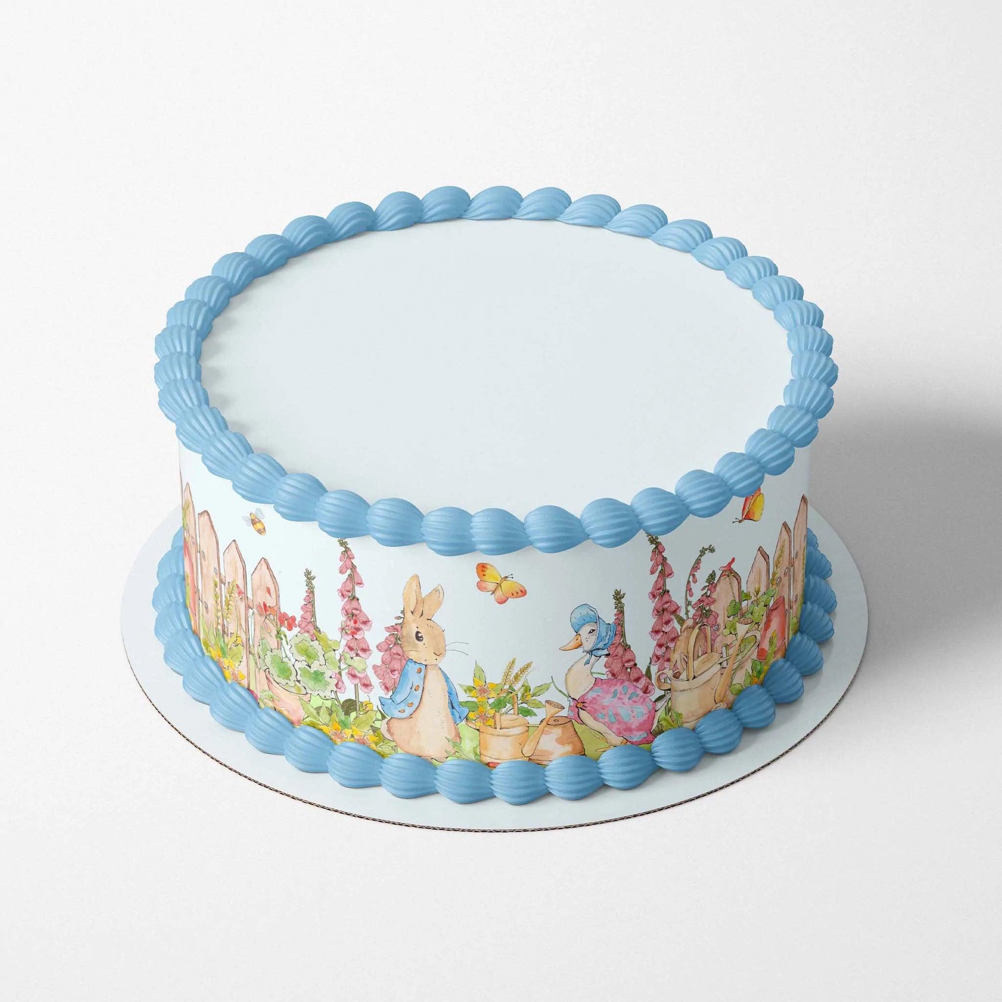White round cake with blue piped borders and a Peter Rabbit garden scene edible print wrap around the side.