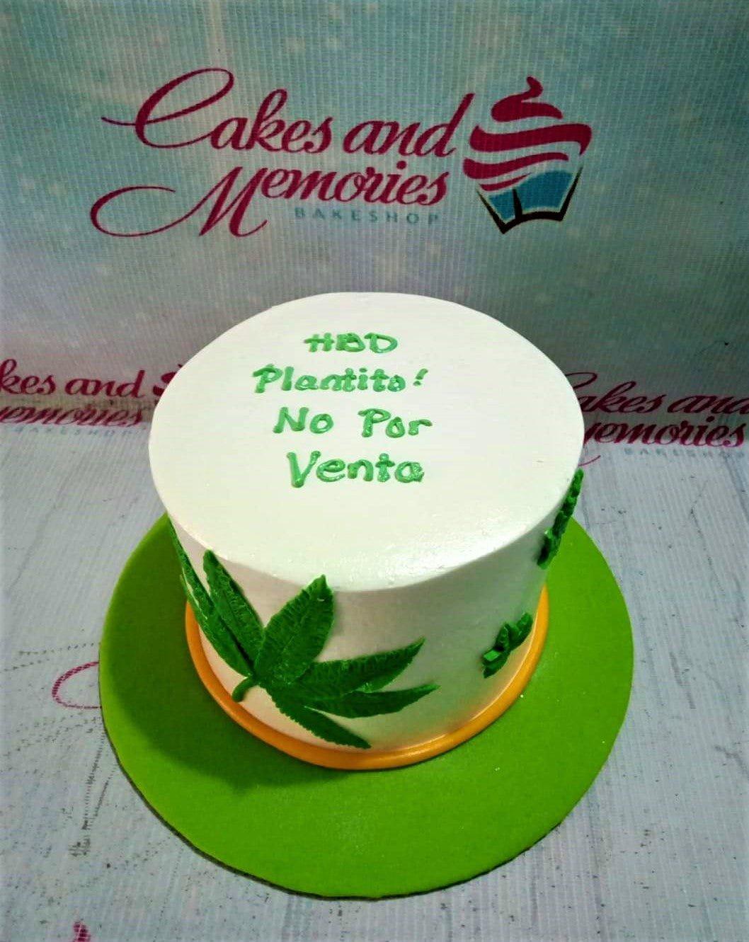 White minimalist cake with green gumpaste leaves and green icing message for a plant lover.