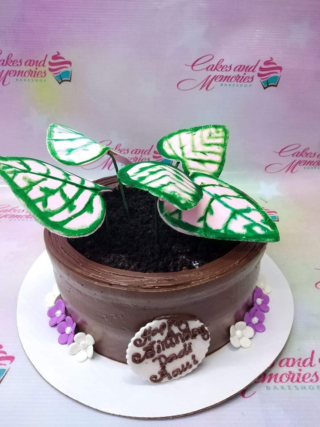 Potted plant themed chocolate cake with large green and pink edible leaves and purple and white flowers at the base.