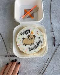 pug dog birthday Bento - colorful theme with pug dog with party hat and colorful sprinkles