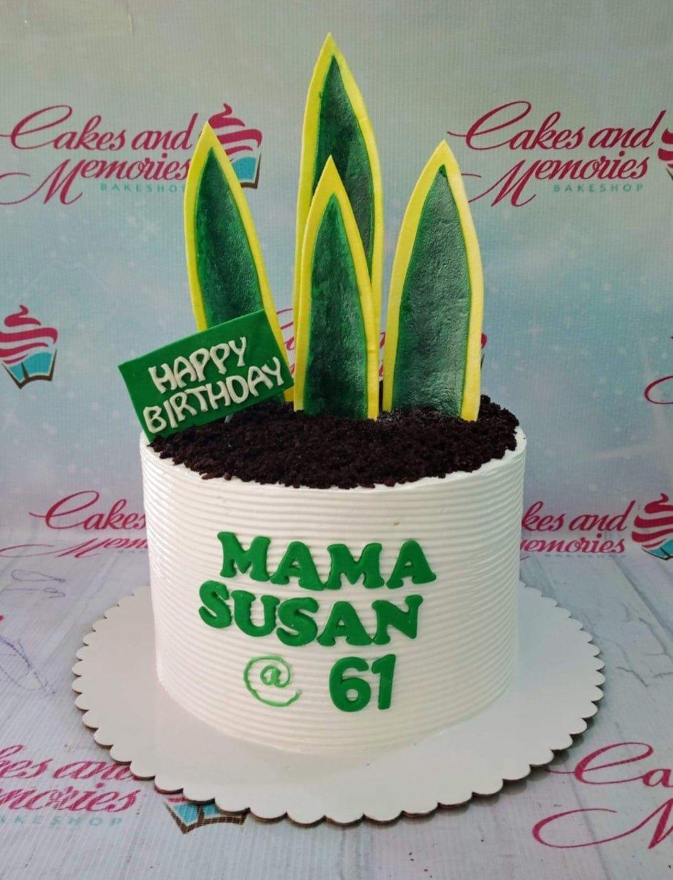 White 1-tier snake plant themed birthday cake with green fondant leaves and dark chocolate soil topping.