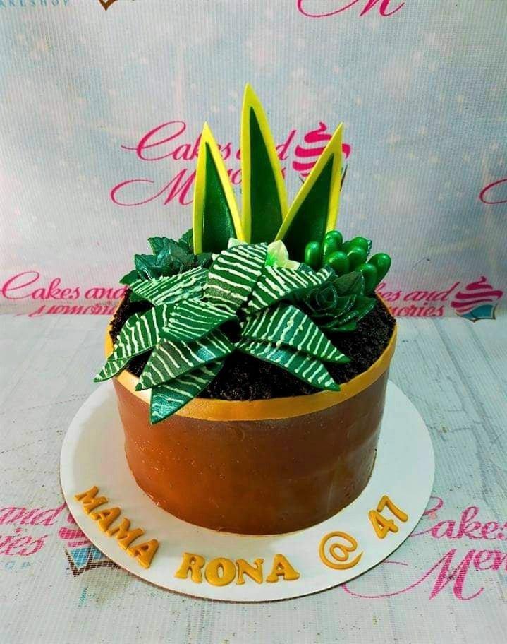 Succulent and snake plant themed birthday cake in a brown pot design with green fondant plants and gold message on the base.