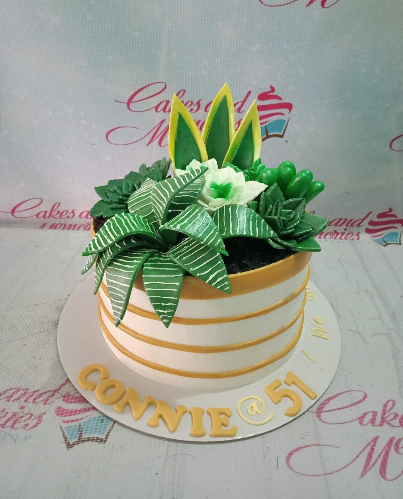 White fondant cake with gold stripes and a variety of green succulent and snake plant toppers, featuring a birthday message on the base board.