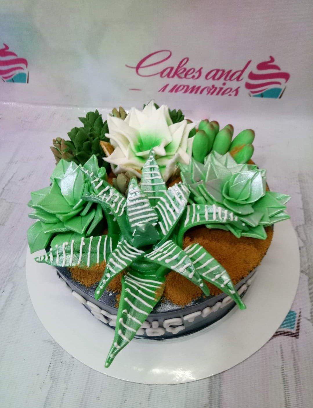 Succulent garden cake with realistic green and white fondant succulents on a brown crumb base with black icing sides.
