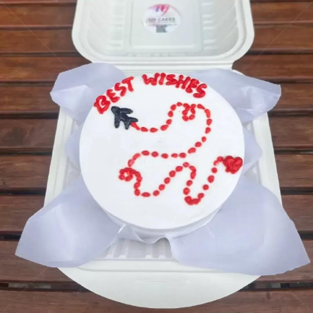 White bento cake with a black piped airplane and a red dotted heart-shaped flight path with Best Wishes message.